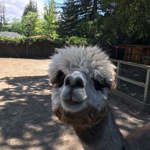 Meet your Posher, Grant